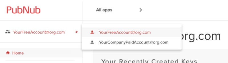 Dropdown menu on PubNub website showing a selection between a free and a company paid account.